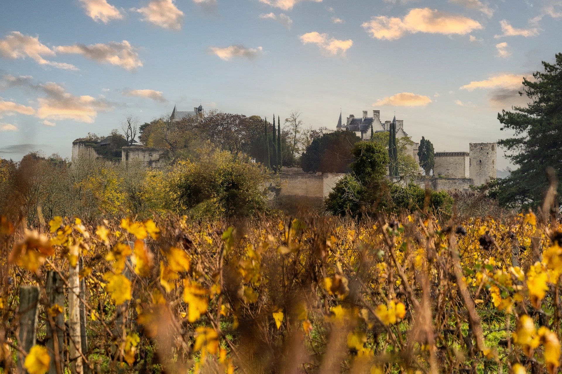 Landscapes photography by Florian Fortier, Landscapes photographer based in France