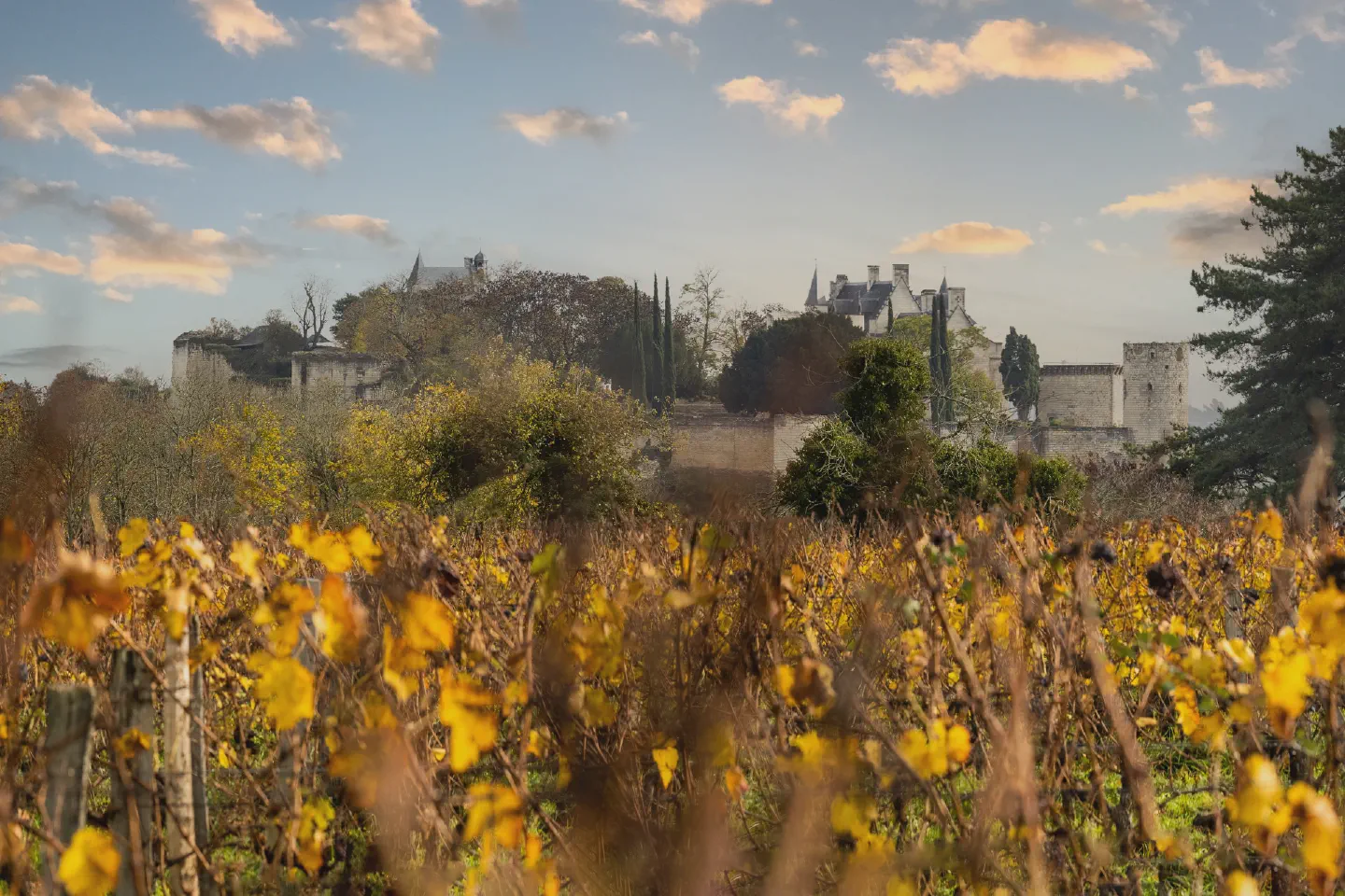 Photographie de paysages naturels et urbains réalisée par Florian Fortier, photographe de paysage en France