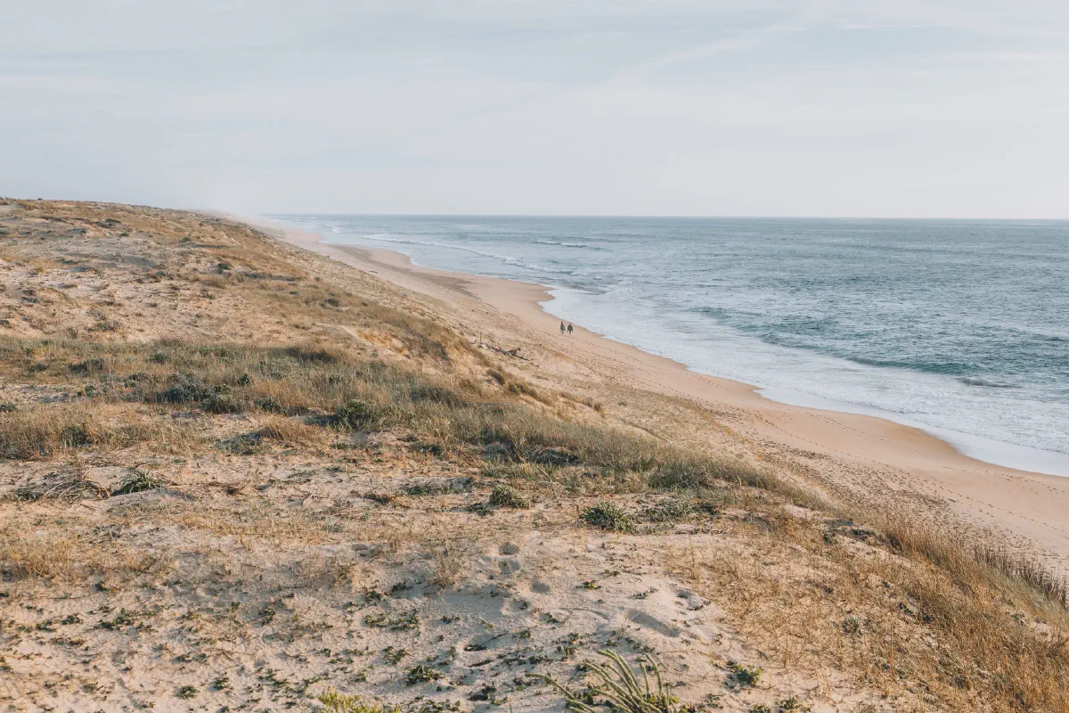Paysage marin et littoral : lumière sur la Côte Basque